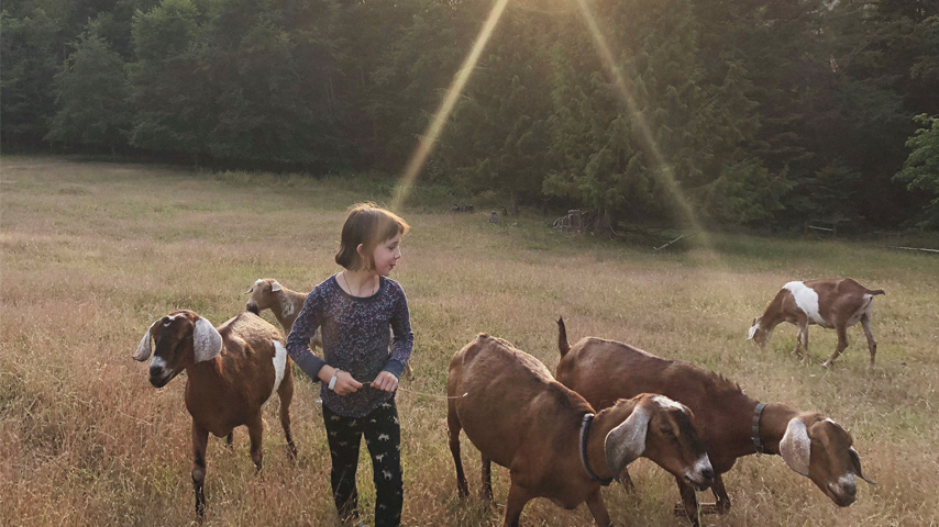 girl with goats